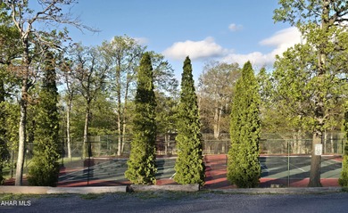 Beautiful 1st-floor fully-furnished studio with updated kitchen on Blue Knob Rec Area Golf Course in Pennsylvania - for sale on GolfHomes.com, golf home, golf lot