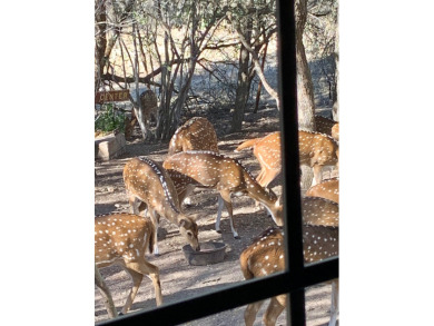 YOU DON'T WANT TO MISS OUT ON THIS LITTLE GEM! This on Fort Clark Springs Golf Course in Texas - for sale on GolfHomes.com, golf home, golf lot