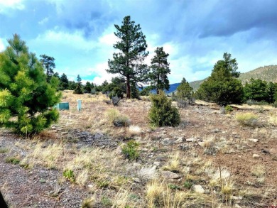 Connie Goodnight, Land Properties, LLC, C: , connie,  : The on Rio Grande Golf Club in Colorado - for sale on GolfHomes.com, golf home, golf lot