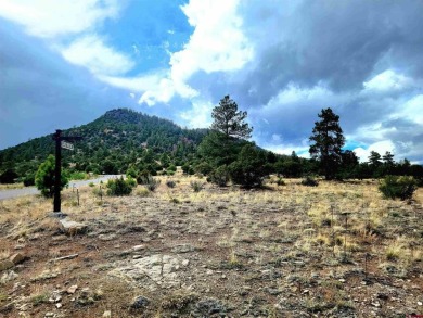 Connie Goodnight, Land Properties, LLC, C: , connie,  : The on Rio Grande Golf Club in Colorado - for sale on GolfHomes.com, golf home, golf lot