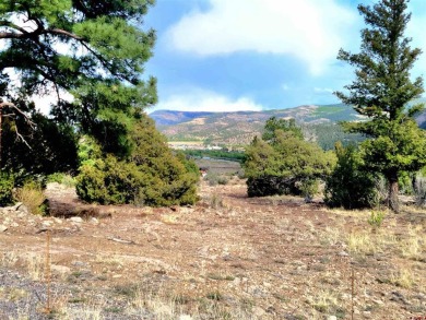 Connie Goodnight, Land Properties, LLC, C: , connie,  : The on Rio Grande Golf Club in Colorado - for sale on GolfHomes.com, golf home, golf lot
