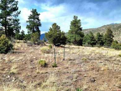 Connie Goodnight, Land Properties, LLC, C: , connie,  : The on Rio Grande Golf Club in Colorado - for sale on GolfHomes.com, golf home, golf lot