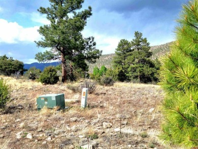 Connie Goodnight, Land Properties, LLC, C: , connie,  : The on Rio Grande Golf Club in Colorado - for sale on GolfHomes.com, golf home, golf lot