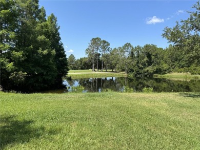 New Tampa Florida 33647! Luxury Living in this Resort Style on Heritage Isles Golf and Country Club in Florida - for sale on GolfHomes.com, golf home, golf lot