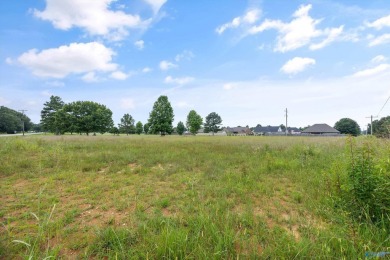 Nick Holman Real Estate is proud to exclusively present two on Southern Gayles Golf Community in Alabama - for sale on GolfHomes.com, golf home, golf lot