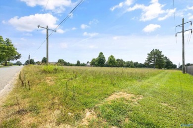 Nick Holman Real Estate is proud to exclusively present two on Southern Gayles Golf Community in Alabama - for sale on GolfHomes.com, golf home, golf lot
