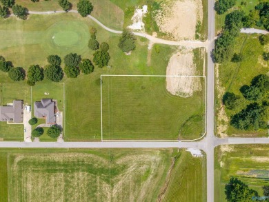 Nick Holman Real Estate is proud to exclusively present two on Southern Gayles Golf Community in Alabama - for sale on GolfHomes.com, golf home, golf lot