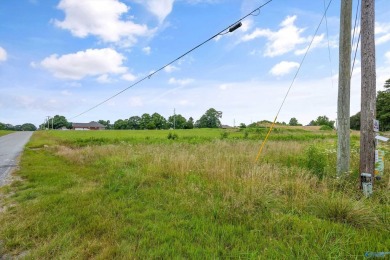 Nick Holman Real Estate is proud to exclusively present two on Southern Gayles Golf Community in Alabama - for sale on GolfHomes.com, golf home, golf lot
