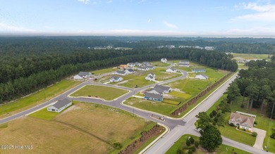 BUILDER NOW OFFERING $25,000 USE AS YOU CHOOSE - must closed by on Carolina Colours Golf Club in North Carolina - for sale on GolfHomes.com, golf home, golf lot