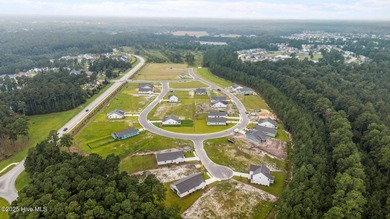 BUILDER NOW OFFERING $25,000 USE AS YOU CHOOSE - must closed by on Carolina Colours Golf Club in North Carolina - for sale on GolfHomes.com, golf home, golf lot