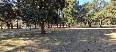 This elegant 1,619-square-foot ranch home offers the perfect on The Golf Club at Pleasant Point Plantation in South Carolina - for sale on GolfHomes.com, golf home, golf lot