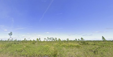 Come build your forever home on this one-half acre lot that on Indian Lake Estates Golf and Country Club in Florida - for sale on GolfHomes.com, golf home, golf lot