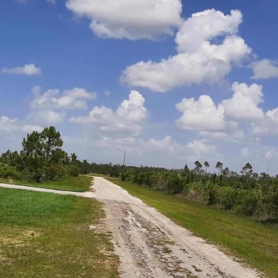 Come build your forever home on this one-half acre lot that on Indian Lake Estates Golf and Country Club in Florida - for sale on GolfHomes.com, golf home, golf lot