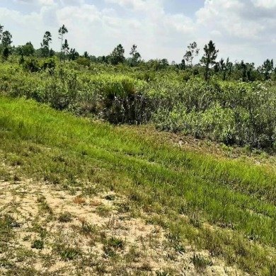 Come build your forever home on this one-half acre lot that on Indian Lake Estates Golf and Country Club in Florida - for sale on GolfHomes.com, golf home, golf lot