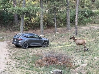 Imagine exploring your winter wonderland paradise snowmobiling on Terrace Lakes Golf Resort in Idaho - for sale on GolfHomes.com, golf home, golf lot