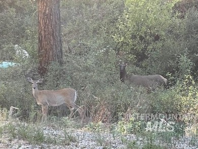 Imagine exploring your winter wonderland paradise snowmobiling on Terrace Lakes Golf Resort in Idaho - for sale on GolfHomes.com, golf home, golf lot