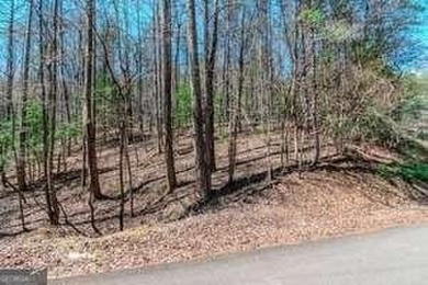 Are you ready to build your dream home in the North GA on White Path Golf Club in Georgia - for sale on GolfHomes.com, golf home, golf lot