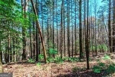 Are you ready to build your dream home in the North GA on White Path Golf Club in Georgia - for sale on GolfHomes.com, golf home, golf lot