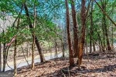 Are you ready to build your dream home in the North GA on White Path Golf Club in Georgia - for sale on GolfHomes.com, golf home, golf lot