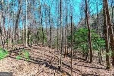 Are you ready to build your dream home in the North GA on White Path Golf Club in Georgia - for sale on GolfHomes.com, golf home, golf lot