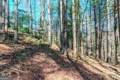 Are you ready to build your dream home in the North GA on White Path Golf Club in Georgia - for sale on GolfHomes.com, golf home, golf lot