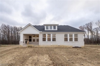 Move-In Ready New Construction in Avon's Prestigious Red Tail on Red Tail Golf Club in Ohio - for sale on GolfHomes.com, golf home, golf lot