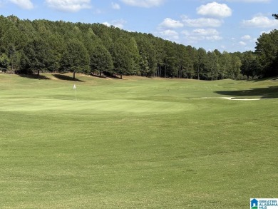 This exquisite home, located with a prime view overlooking the on Ballantrae Golf Club in Alabama - for sale on GolfHomes.com, golf home, golf lot