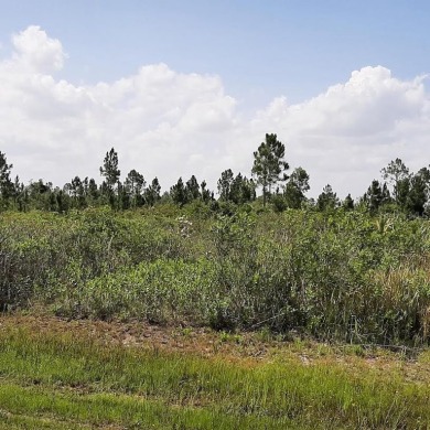 Come build your forever home on this one-half acre lot that on Indian Lake Estates Golf and Country Club in Florida - for sale on GolfHomes.com, golf home, golf lot