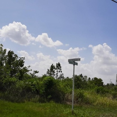 Come build your forever home on this one-half acre lot that on Indian Lake Estates Golf and Country Club in Florida - for sale on GolfHomes.com, golf home, golf lot