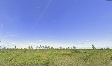 Come build your forever home on this one-half acre lot that on Indian Lake Estates Golf and Country Club in Florida - for sale on GolfHomes.com, golf home, golf lot