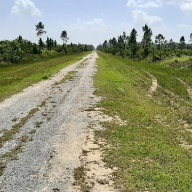 Come build your forever home on this one-half acre lot that on Indian Lake Estates Golf and Country Club in Florida - for sale on GolfHomes.com, golf home, golf lot