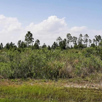 Come build your forever home on this one-half acre lot that on Indian Lake Estates Golf and Country Club in Florida - for sale on GolfHomes.com, golf home, golf lot