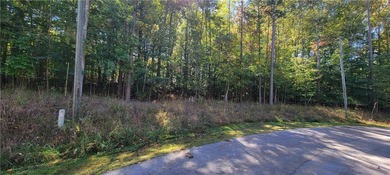 Looking to build your dream home in a fabulous gated on The Trail At Chickasaw Pointe in South Carolina - for sale on GolfHomes.com, golf home, golf lot