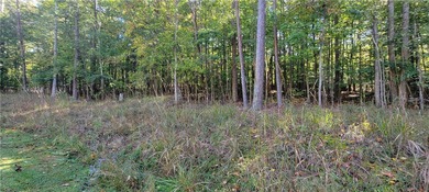 Looking to build your dream home in a fabulous gated on The Trail At Chickasaw Pointe in South Carolina - for sale on GolfHomes.com, golf home, golf lot