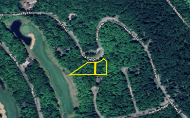 3 Vacant Lot Parcels in the Hawks Eye Golf Association on Hawks Eye Golf Course in Michigan - for sale on GolfHomes.com, golf home, golf lot