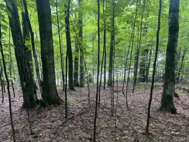 3 Vacant Lot Parcels in the Hawks Eye Golf Association on Hawks Eye Golf Course in Michigan - for sale on GolfHomes.com, golf home, golf lot