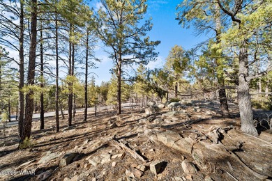 Exceptional Heavily Treed Lot in the Prestigious Torreon on Torreon Golf Club in Arizona - for sale on GolfHomes.com, golf home, golf lot