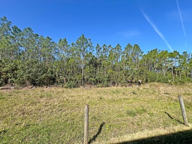 This beautiful 3BR/2.5 bath RV resort home is in the prestigious on The Great Outdoors Golf and Country Club in Florida - for sale on GolfHomes.com, golf home, golf lot