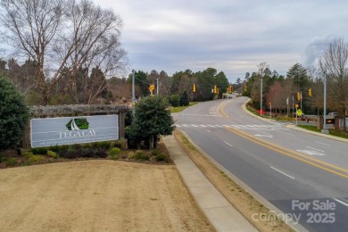 Discover the perfect blend of comfort and luxury in this on Tega Cay Golf Club in South Carolina - for sale on GolfHomes.com, golf home, golf lot