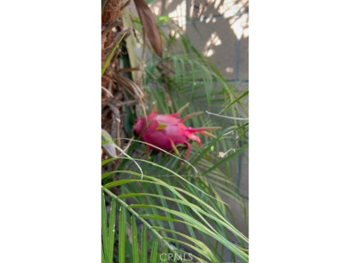 Welcome to this bright and inviting 3-bedroom, 2-bathroom home on Cresta Verde Golf Club in California - for sale on GolfHomes.com, golf home, golf lot