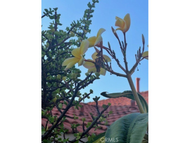 Welcome to this bright and inviting 3-bedroom, 2-bathroom home on Cresta Verde Golf Club in California - for sale on GolfHomes.com, golf home, golf lot