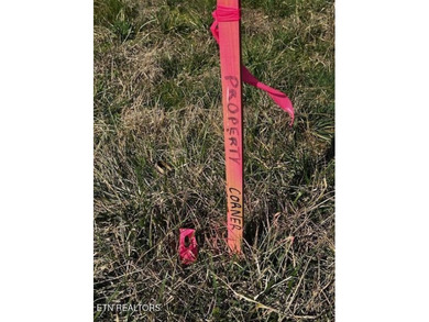 MOVE TO EAST TENNESSEE! With over 5 acres of breathtaking on Beaver Brook Golf and Country Club in Tennessee - for sale on GolfHomes.com, golf home, golf lot