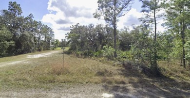 Come build your forever home on this beautiful one-half acre on Indian Lake Estates Golf and Country Club in Florida - for sale on GolfHomes.com, golf home, golf lot