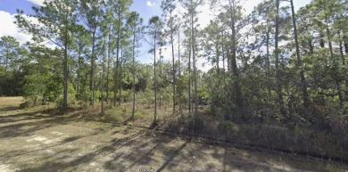 Come build your forever home on this beautiful one-half acre on Indian Lake Estates Golf and Country Club in Florida - for sale on GolfHomes.com, golf home, golf lot