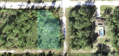 Come build your forever home on this beautiful one-half acre on Indian Lake Estates Golf and Country Club in Florida - for sale on GolfHomes.com, golf home, golf lot