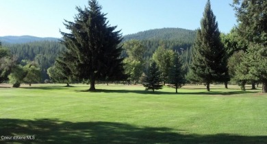 STUNNING 4BD/3BA, 3,524 SQ FT HOME ON PINEHURST GOLF COURSE WITH on The Pinehurst Golf Course in Idaho - for sale on GolfHomes.com, golf home, golf lot