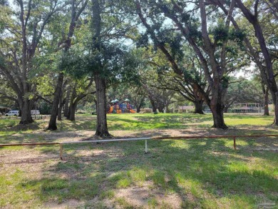 Nice wooded lot near Osceola Golf Course off Mobile Hwy. Entire on Osceola Municipal Golf Course in Florida - for sale on GolfHomes.com, golf home, golf lot