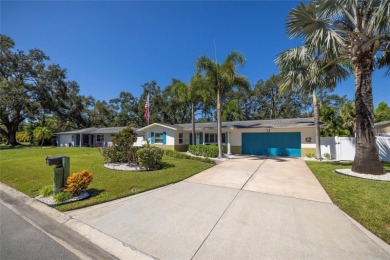 YOUR OWN PERSONAL PRIVATE PARADISE IN DELIGHTFUL DUNEDIN on The Dunedin Country Club in Florida - for sale on GolfHomes.com, golf home, golf lot