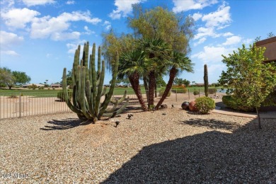 Golf Course Gem on the #1 Tee Box
This stunning Cholla on Sun City Grand Golf Couse and Club in Arizona - for sale on GolfHomes.com, golf home, golf lot