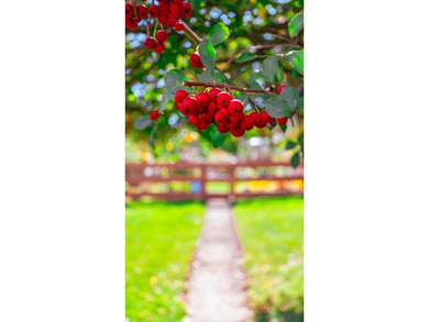 Welcome home to this impeccably maintained & updated 3 bedroom on Odana Hills Golf Course in Wisconsin - for sale on GolfHomes.com, golf home, golf lot